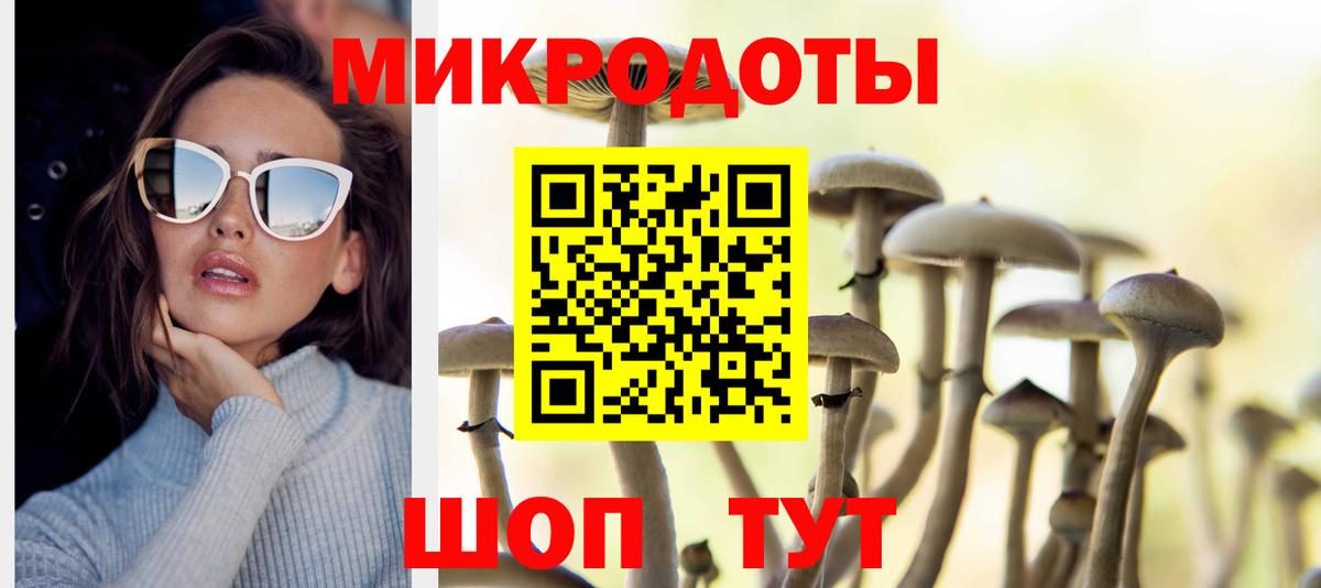 Псилоцибиновые грибы Magic Shrooms  Псилоцибиновые грибы GOLDEN TEACHER  Белгород  Вход с VPN 